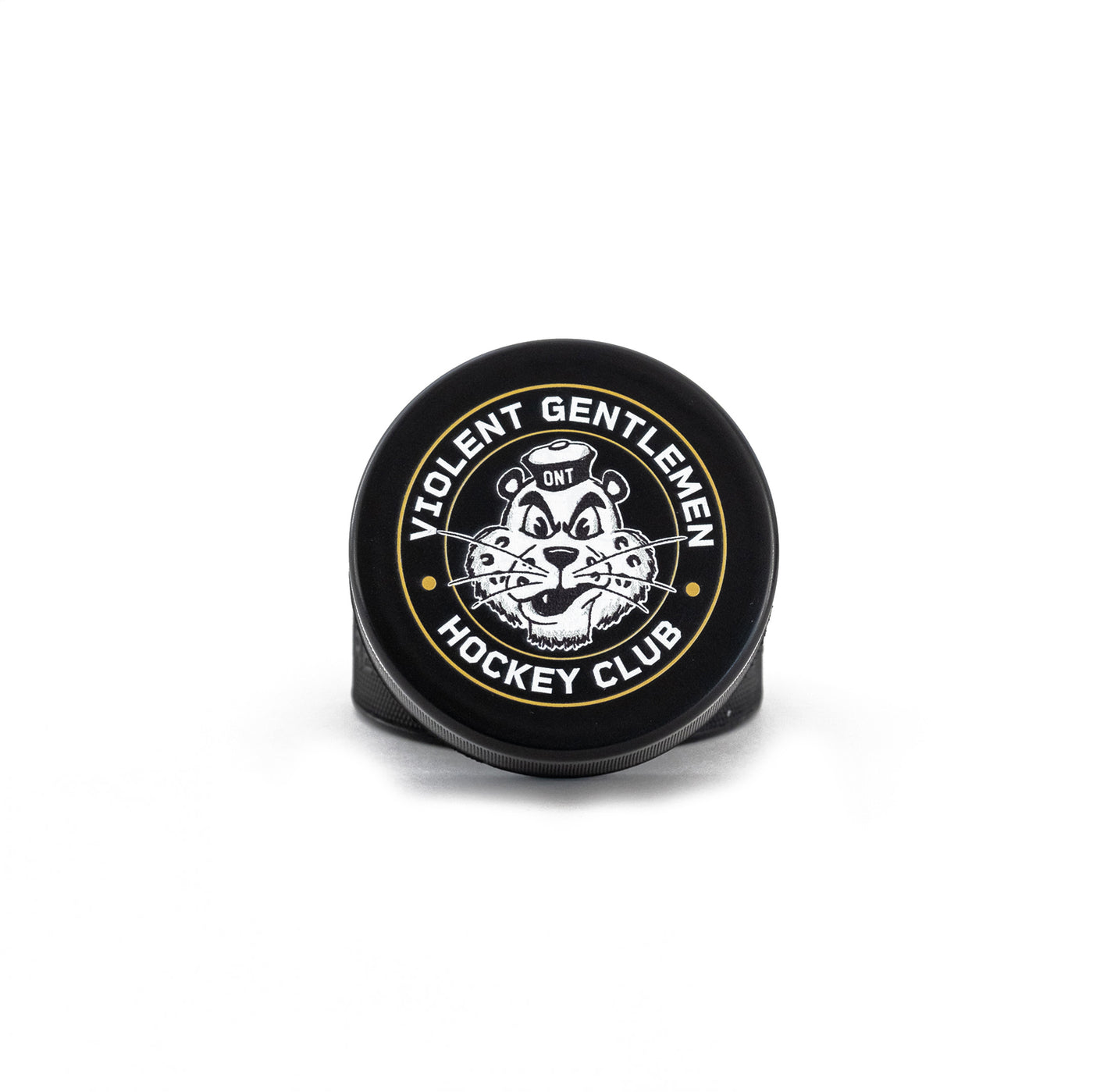 Kingston Foam Hockey Puck