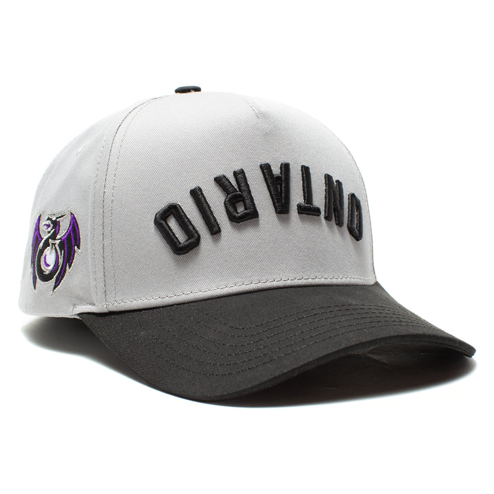 Upside Down A-Frame Snapback